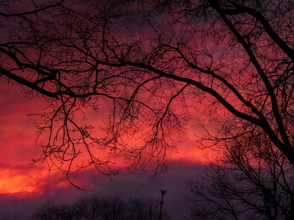 Heart of the Sunset