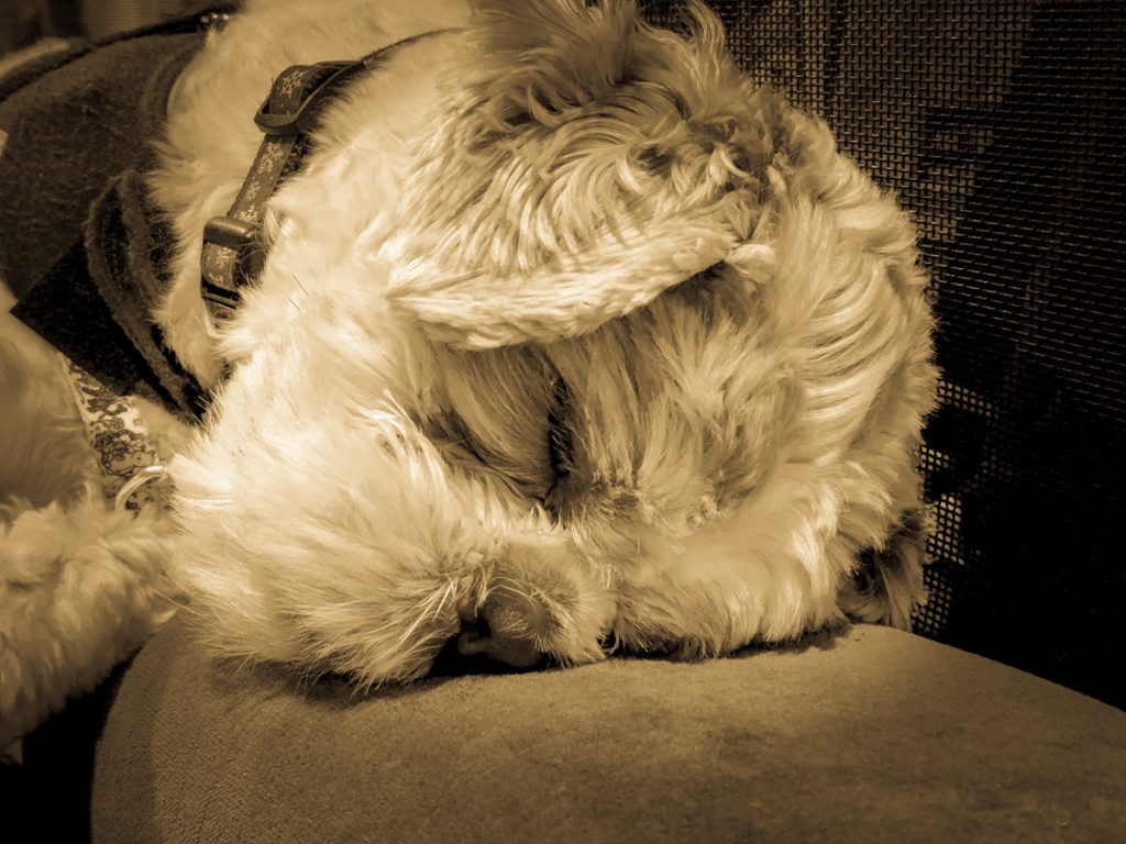 Peaceful slumber