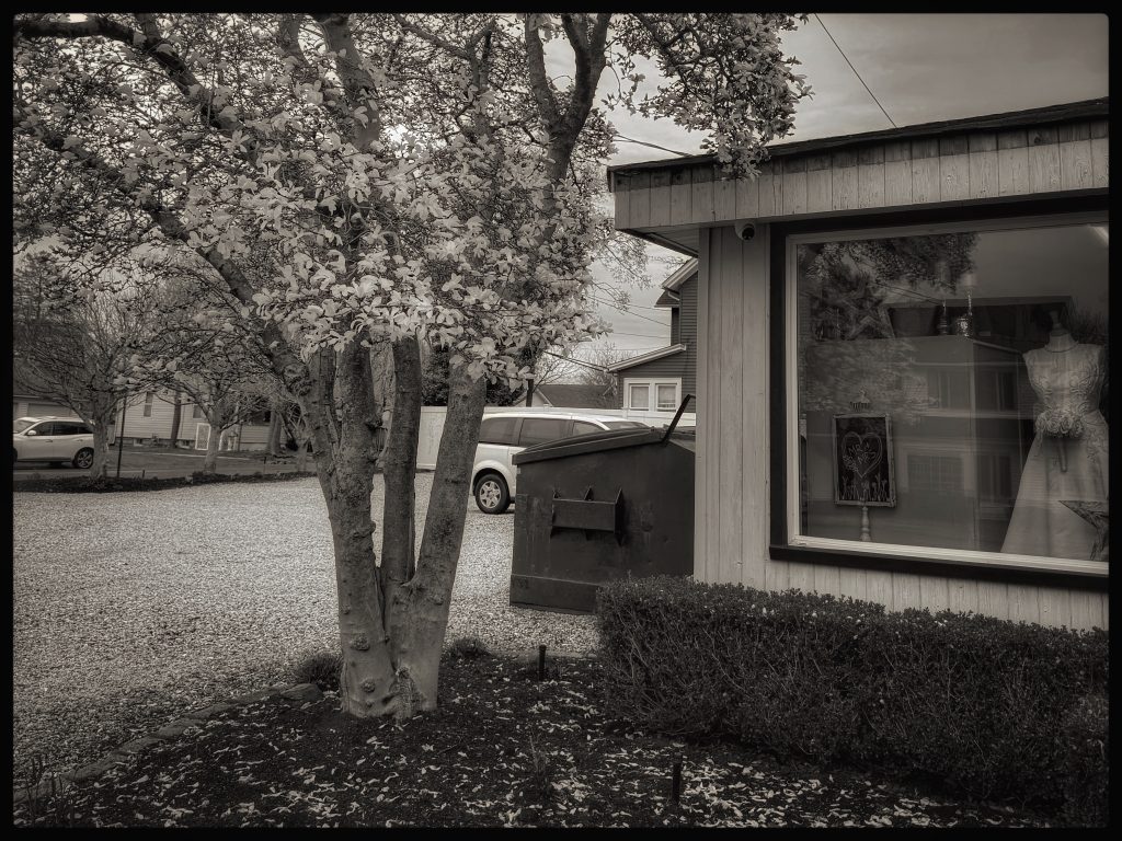 Time Capsule w/Tree