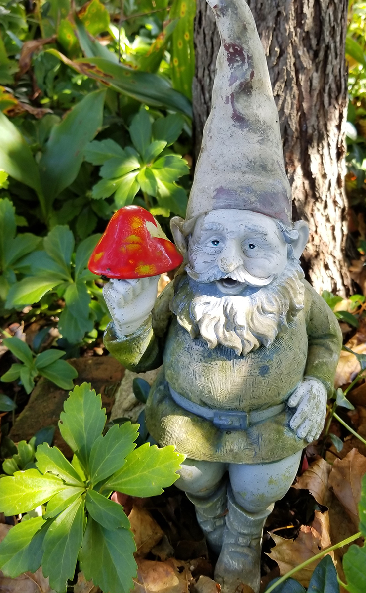 Gnome Gnosh